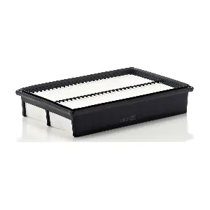 MANN-FILTER C2841