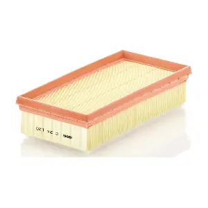MANN-FILTER C24120