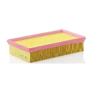 MANN-FILTER C29121