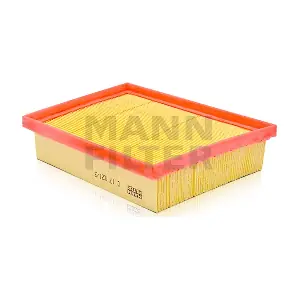 MANN-FILTER C 17 021/3