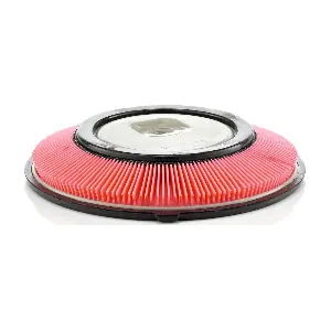 MANN-FILTER C2821