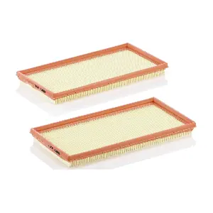 C 3361-2 MANN-FILTER