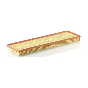 MANN-FILTER C581851
