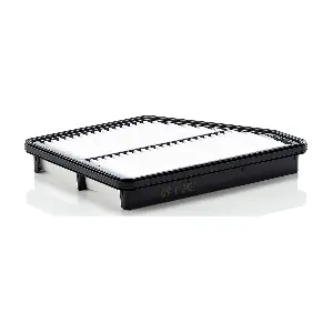 MANN-FILTER C2421
