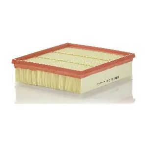 MANN-FILTER C22039