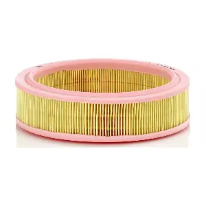 MANN-FILTER C2233/1