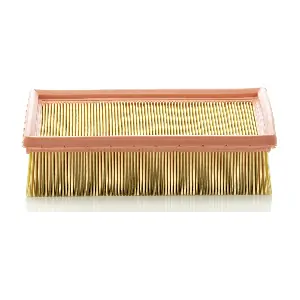 MANN-FILTER C24105