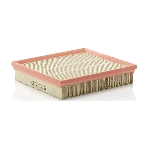 MANN-FILTER C25135