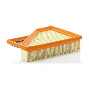 MANN-FILTER C2245