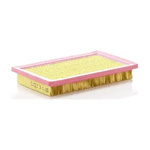 MANN-FILTER C 2568/1