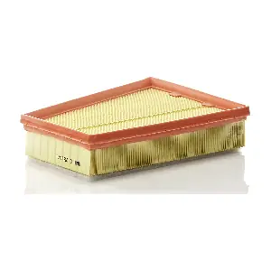 MANN-FILTER C25101