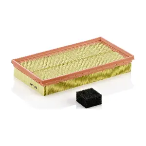 MANN-FILTER C2982KIT