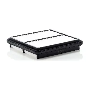 MANN-FILTER C2229