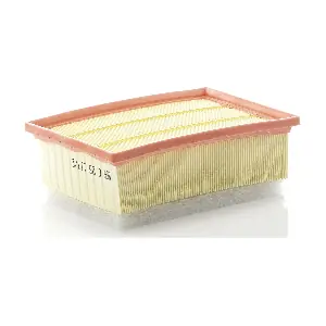 MANN-FILTER C251172