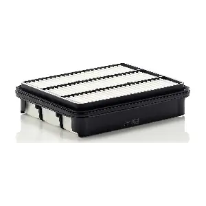 MANN-FILTER C2438