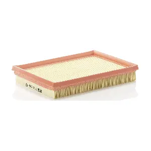 MANN-FILTER C 2345/1