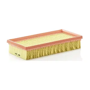 MANN-FILTER C2554
