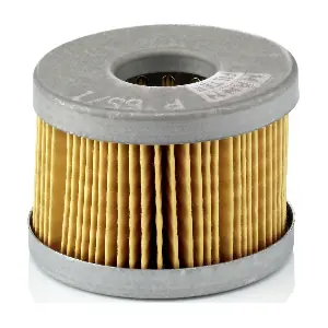 MANN-FILTER P 65/1 x
