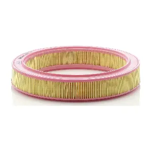 MANN-FILTER C 2953/1