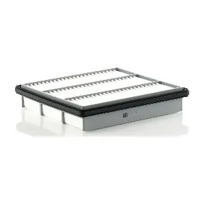 MANN-FILTER C 25 020