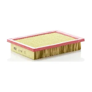 MANN-FILTER C2496