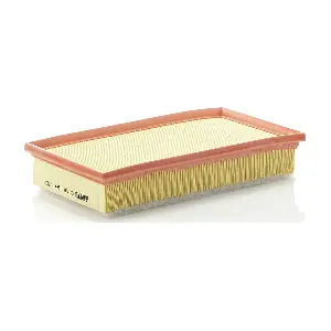 MANN-FILTER C29124