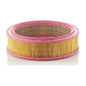 MANN-FILTER C24431