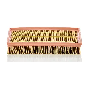 MANN-FILTER C33189