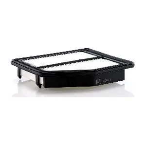 MANN-FILTER C 24 021