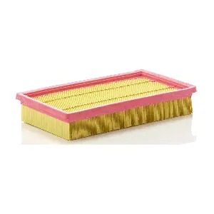 MANN-FILTER C 2892