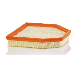 C 24 242 MANN-FILTER