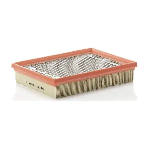 MANN-FILTER C2494