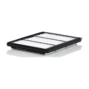 C 25 051 MANN-FILTER