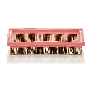 MANN-FILTER C2244