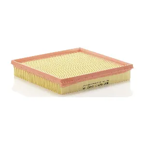 MANN-FILTER C2493
