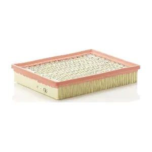 MANN-FILTER C 30 170