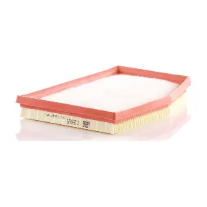 MANN-FILTER C25585