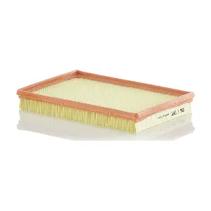 C 2880 MANN-FILTER
