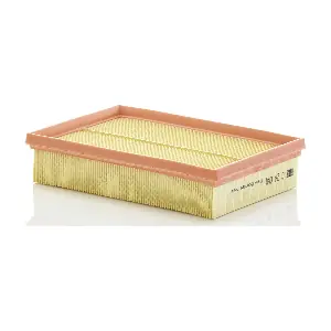 MANN-FILTER C24041