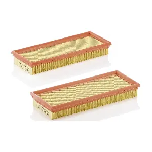 MANN-FILTER C317012