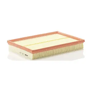 MANN-FILTER C 30 125/1