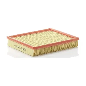 MANN-FILTER C2598