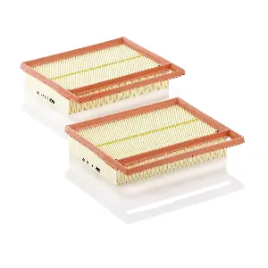 C 25 110-2 MANN-FILTER