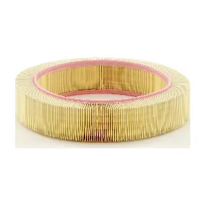 MANN-FILTER C40174