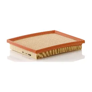 MANN-FILTER C22009