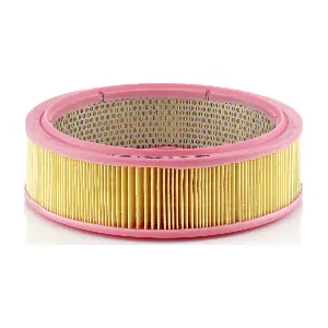 MANN-FILTER C2545/1