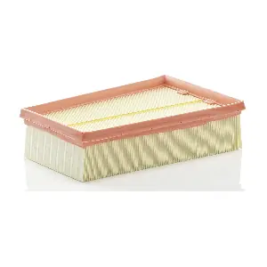 MANN-FILTER C 2433/2
