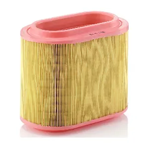 MANN-FILTER C 24196