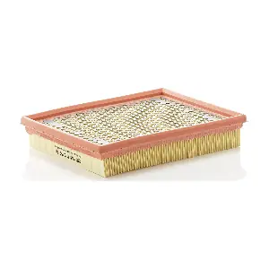 MANN-FILTER C2452