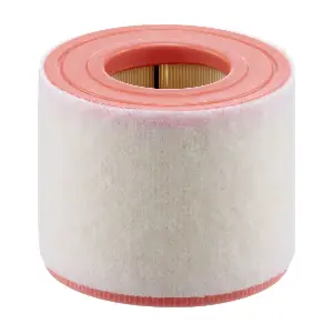 MANN-FILTER C 15 010